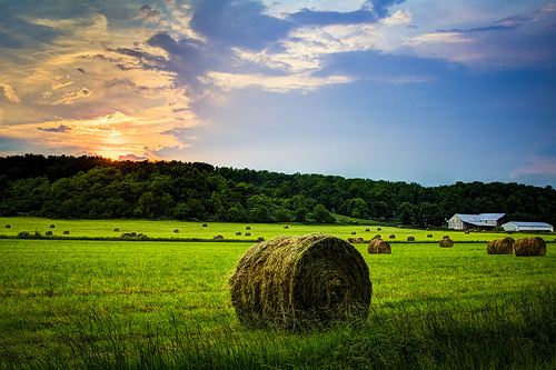 God's promises, calling, work