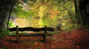 autumn-landscape-bench on lake-google