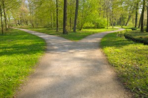 Fork in the Road, gettyimages,google